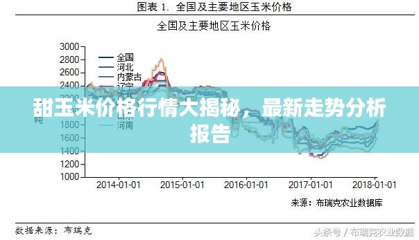 甜玉米价格行情大揭秘，最新走势分析报告