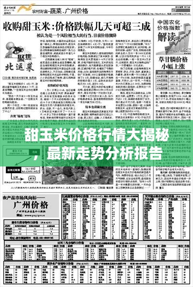 甜玉米价格行情大揭秘,最新走势分析报告