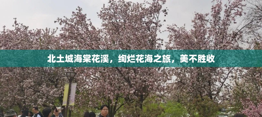 北土城海棠花溪,绚烂花海之旅,美不胜收