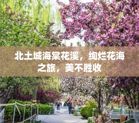 北土城海棠花溪,绚烂花海之旅,美不胜收